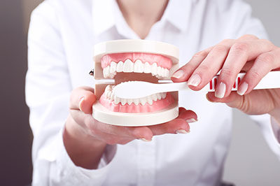 The image shows a person holding a tooth model, possibly demonstrating dental hygiene or dental care techniques.